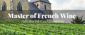 Master of French Wine