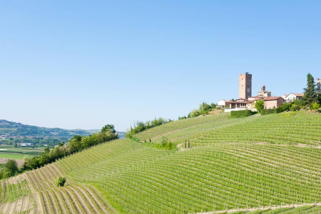 Barbaresco town view, Langhe, Italy Advanced Italian Wine Course