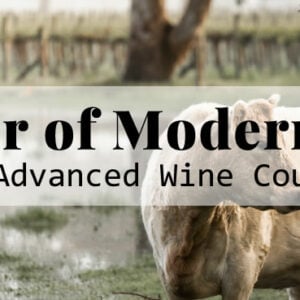Scholar of Modern Wine™
