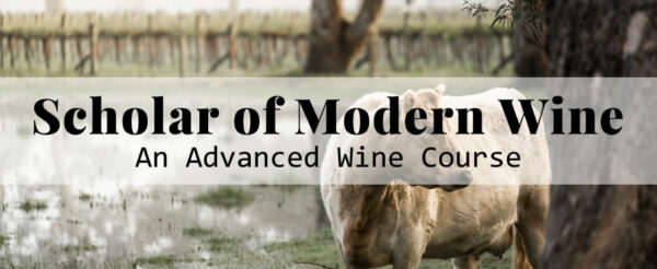 Scholar of Modern Wine™