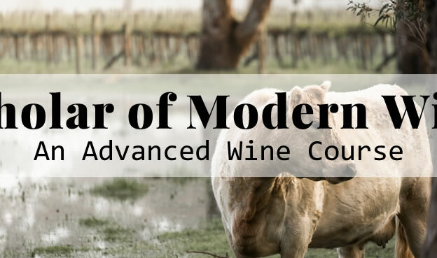 Scholar of Modern Wine™ course image