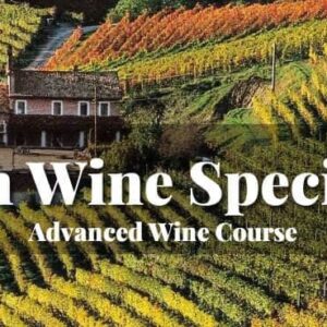 Advanced Italian wine course vineyard landscape background