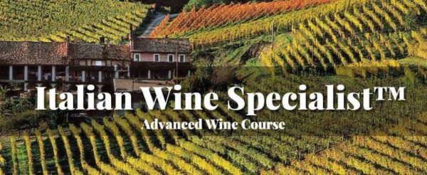 Advanced Italian wine course vineyard landscape background