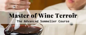Master of Wine Terroir