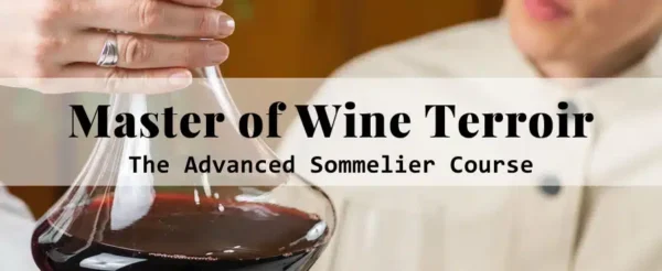 Advanced sommelier course advertisement with wine decanter.