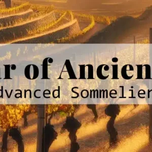 Advanced Sommelier Course: Scholar of Ancient Wine banner