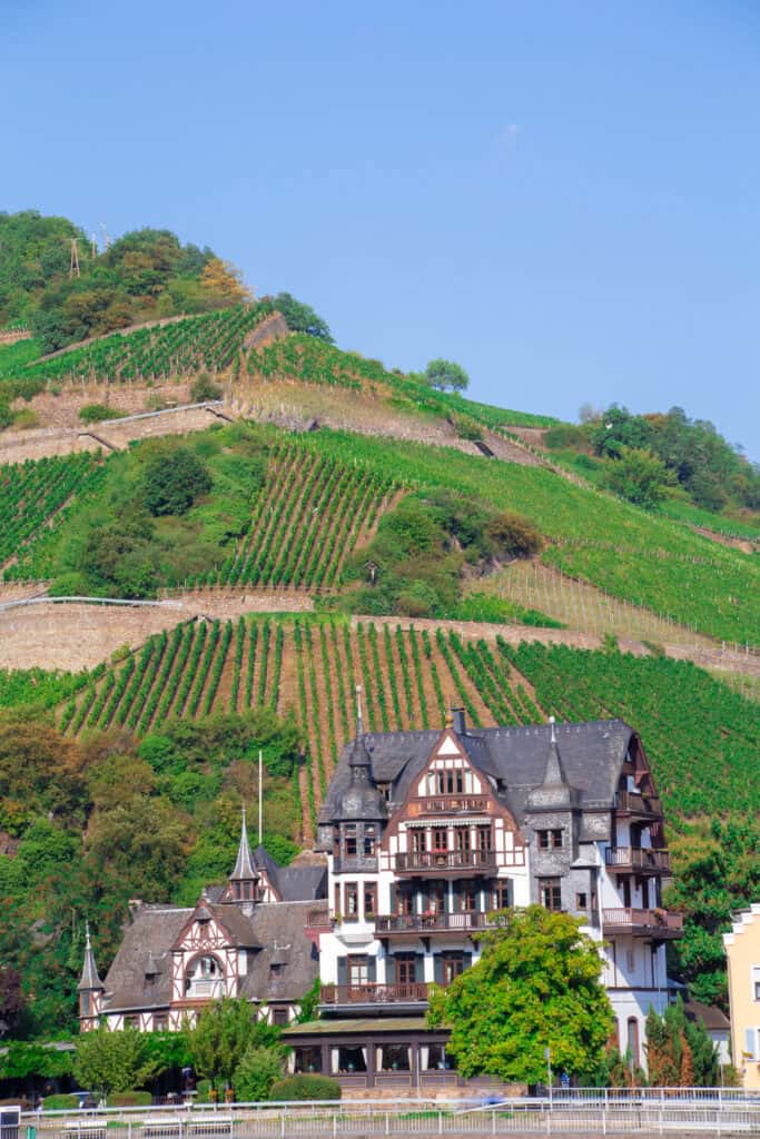 charming village in germany along the rhine river 2026 03 26 09 08 13 utc Germanic Wine Specialist